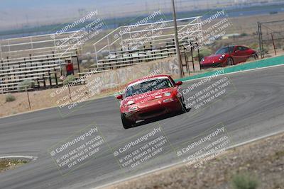 media/May-03-2025-Lucky Dog Racing (Sat) [[206de64b9d]]/Turn 4 B (1150am-130pm)/